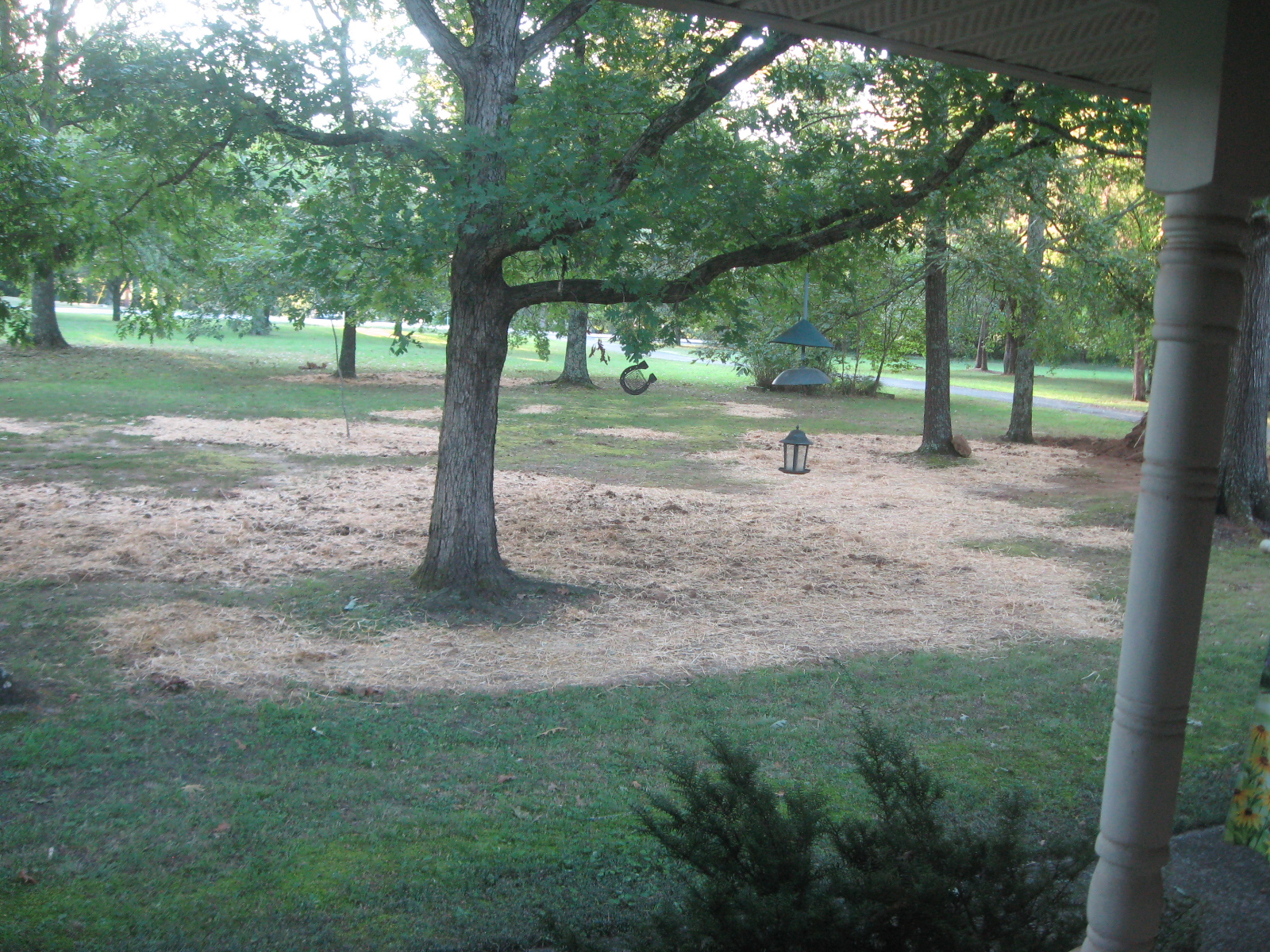 Dirt Project 25