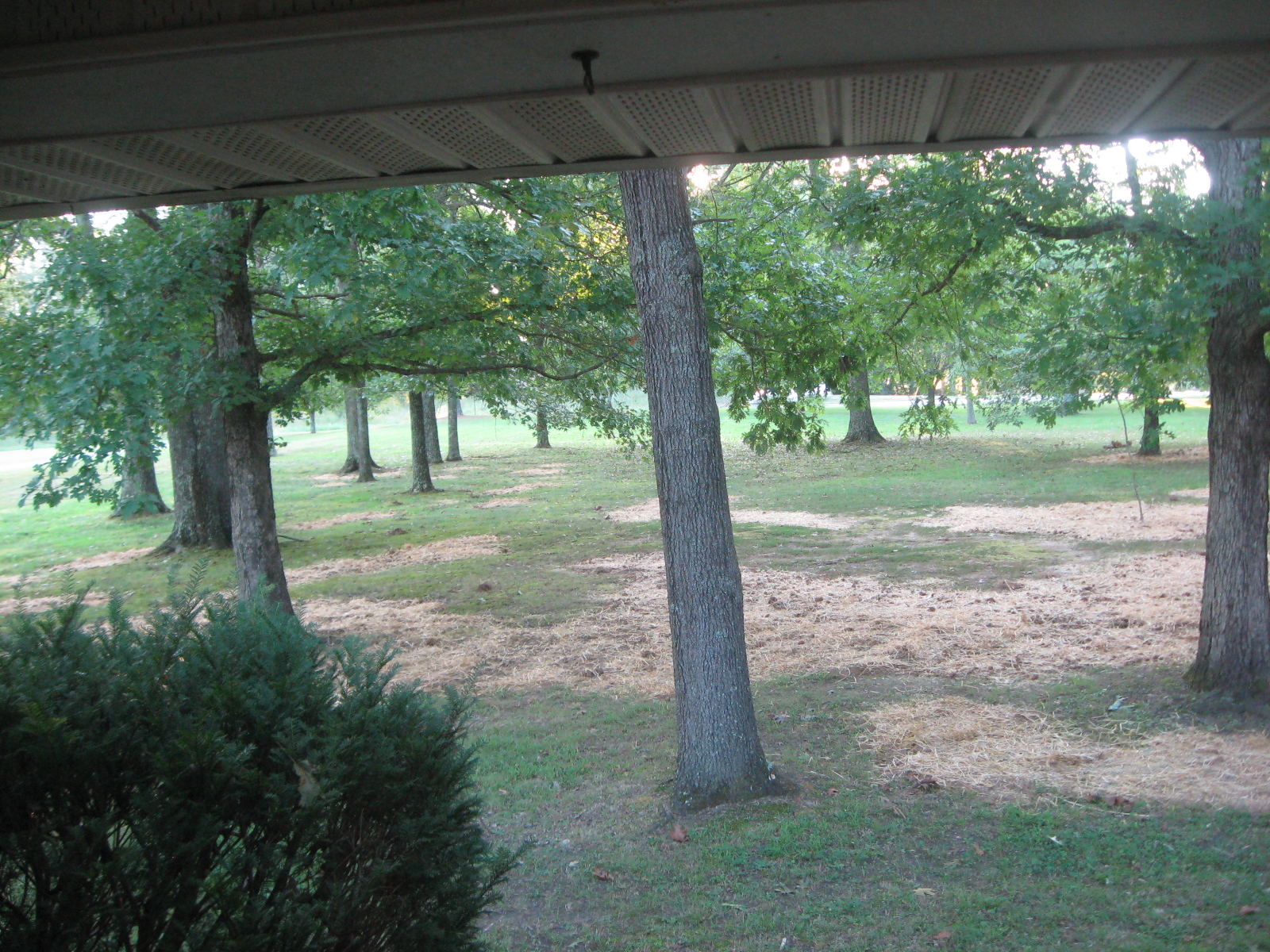 Dirt Project 26