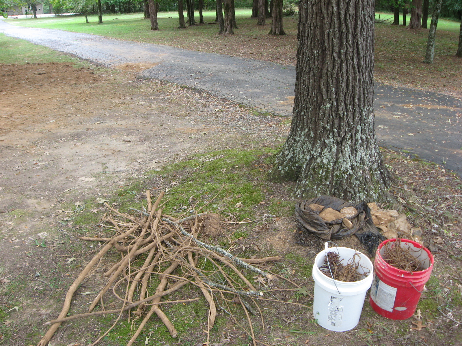 Dirt Project 28